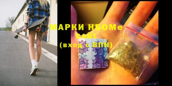гашик Алексин