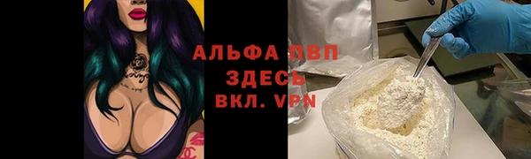 прущие крисы Аркадак