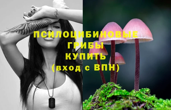 круглые Армянск