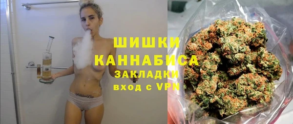 амф Арсеньев