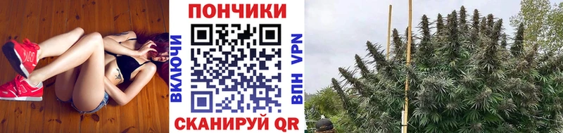 Конопля White Widow Павловская